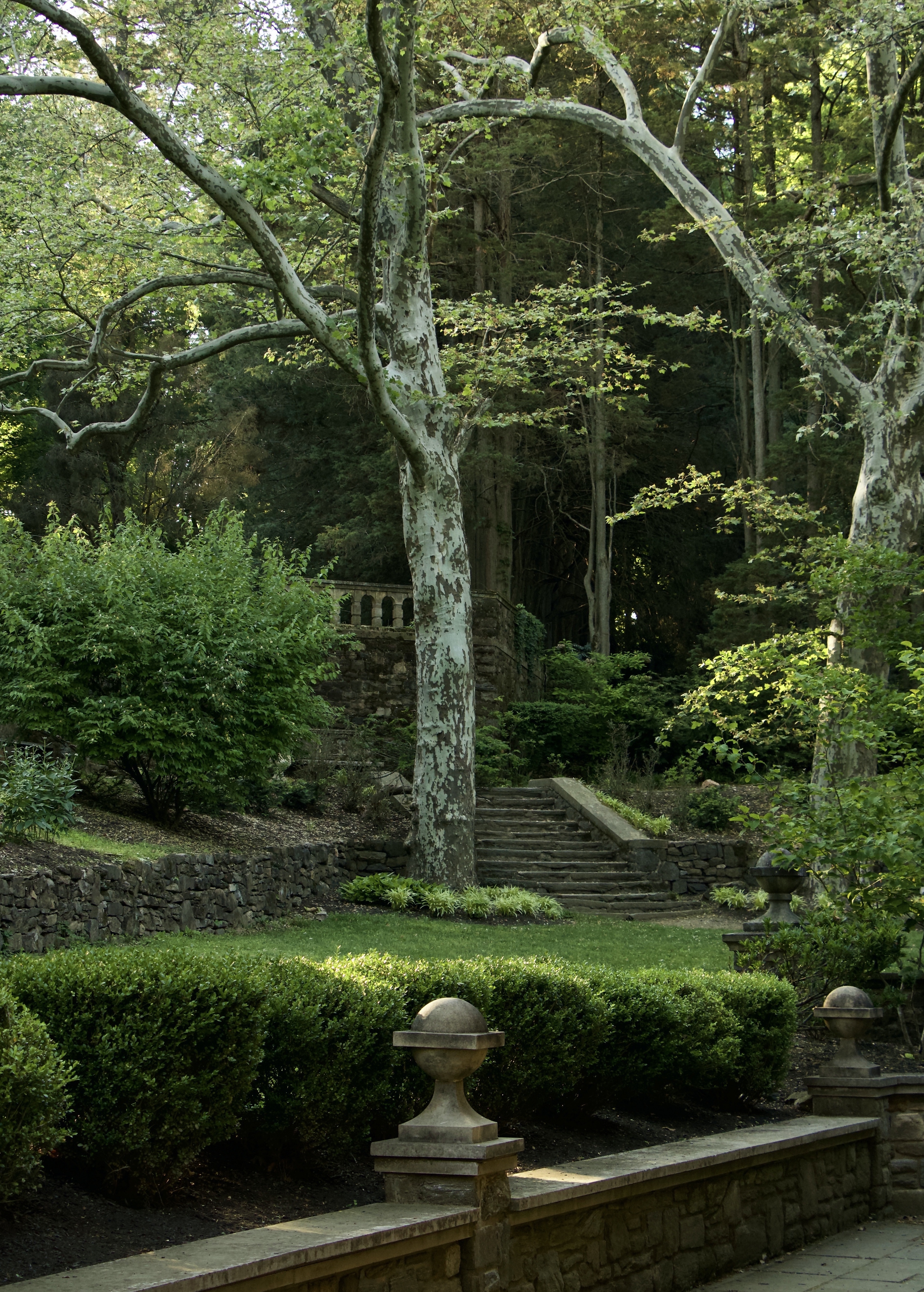 Jeffrey Benne, Spring Light
